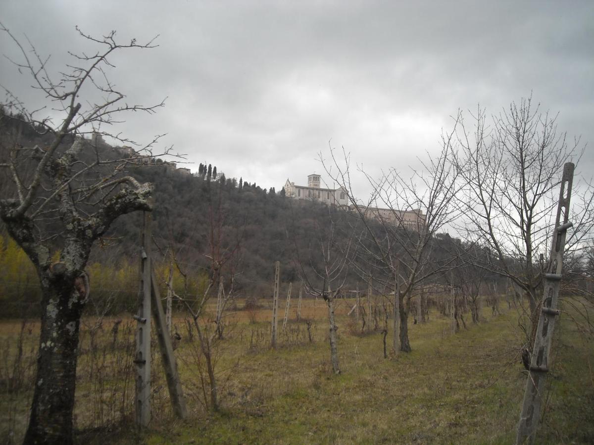 Pensión Le Cascatelle Asís